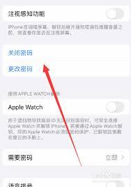 苹果15如何设置密码锁屏