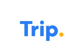 trip抢演唱会可以微信支付吗 trip抢票可以扫码付款吗