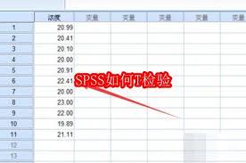 SPSS怎样进行T检验