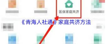 青海人社通家庭共济怎么操作