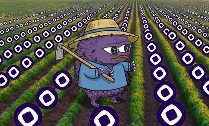 Monad 主网临近，有哪些空投和收益机会？