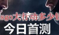 csgo大行动多少钱
