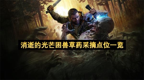 消逝的光芒困兽草药采摘点位一览