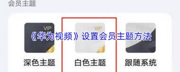 华为视频如何设置会员主题
