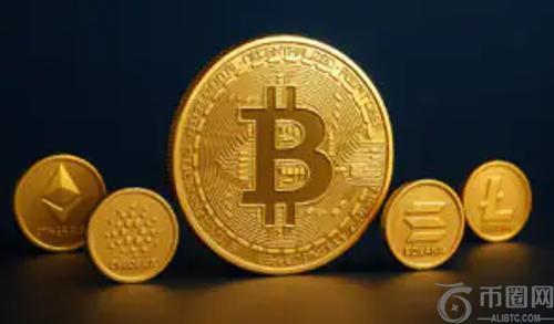 Bitget CEO预警：比特币或在2025年主导市场，山寨币繁荣仍需数年