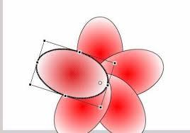 Macromedia Flash 8怎么画一朵花
