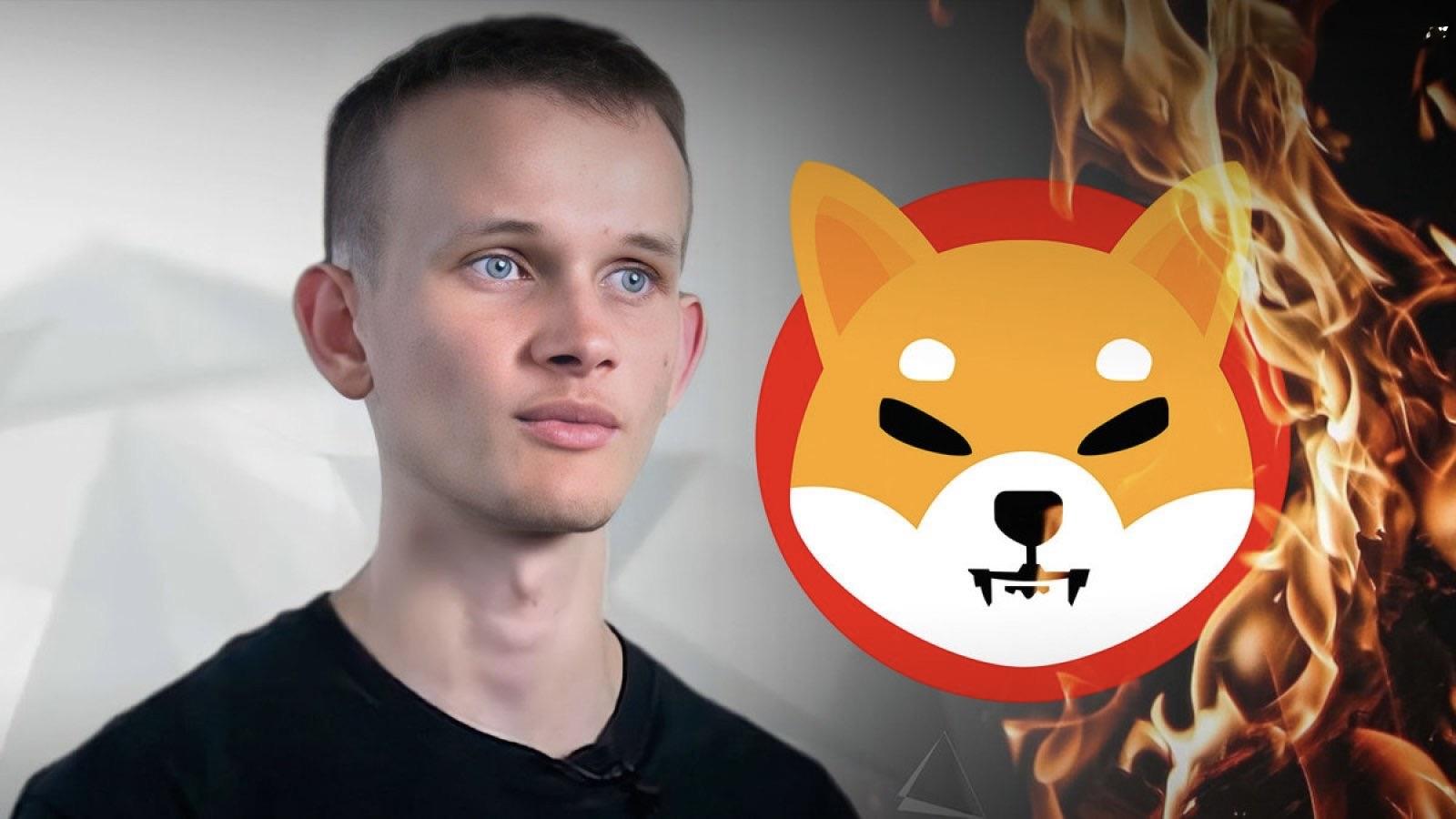 为什么 Vitalik Buterin 获得了 Shiba Inu 50% 的股份 他是创始人吗