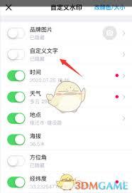 相机水印自定义文字内容如何弄出来