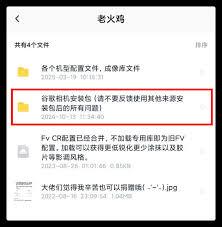 谷歌相机如何导入配置文件