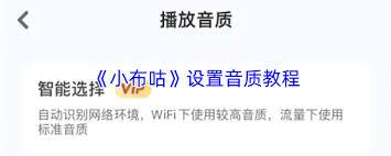 小布咕如何设置音质