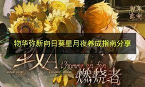 物华弥新 向日葵星月夜养成指南分享