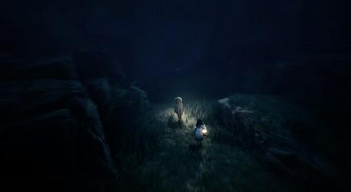 REANIMAL 版本区别一览