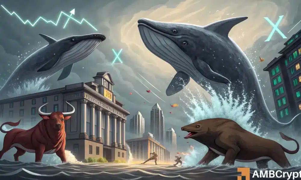 投资者将XRP放入冷钱包——12月将迎来剧烈波动