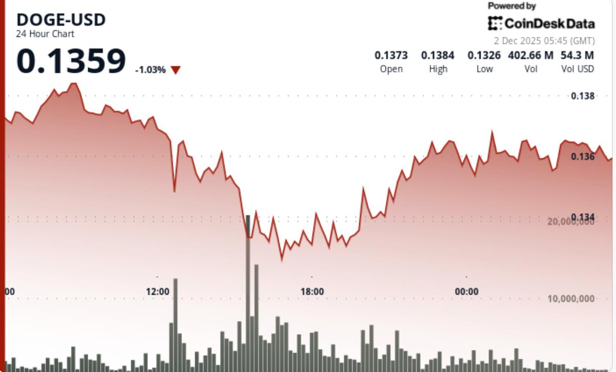 狗狗币跌破关键支撑位——是假突破还是更大幅度回调的开始