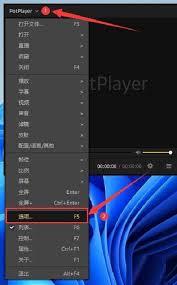 PotPlayer如何开启记忆用户语言选择