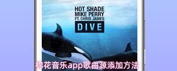 棉花音乐app如何添加歌曲源