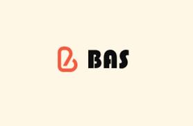 BAS币在中国叫什么