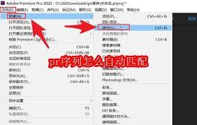 pr序列怎样自动匹配
