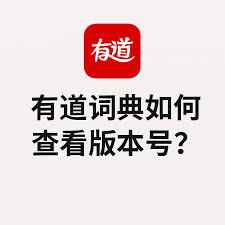 如何在有道词典查看版本号