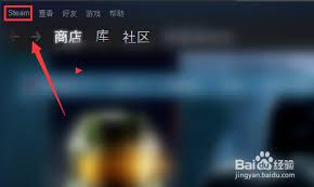 steam如何优化网络
