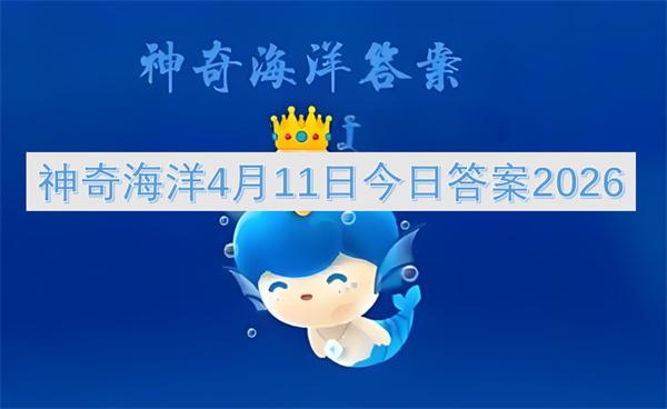 神奇海洋4月11日今日答案2026