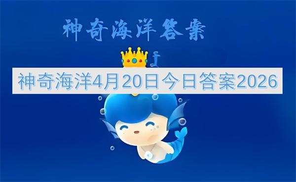 神奇海洋4月20日今日答案2026