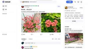 百度贴吧网页版入口在哪