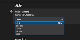 Vscode如何设置鼠标光标动画